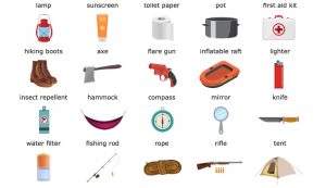 critical thinking survival items